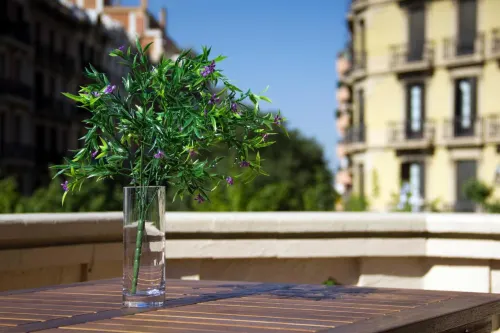 Hostalin Barcelona Diputacion À proximité de l'hôtel Photos