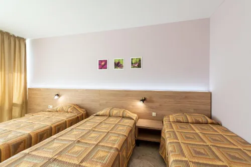 Ivana Palace Hotel - Free Parking Photos