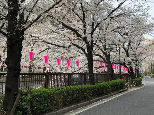 Wander Tokyo Shibuya Near Hotel Photos