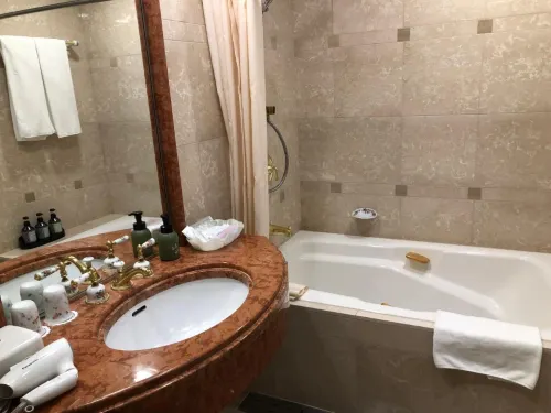 International Garden Hotel Narita Rooms Photos