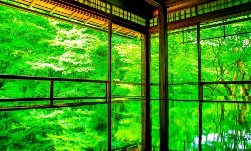 Hotel Rings Kyoto Leisure & Recreation Photos