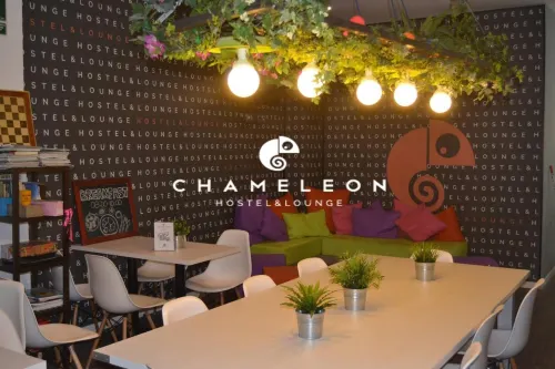 Chameleon Youth Hostel Alicante Espaces publics Photos