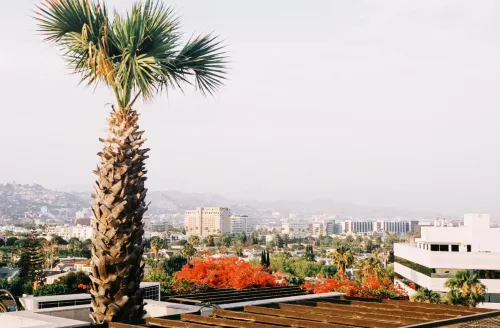 Sixty Beverly Hills In der Nähe des Hotels Photos