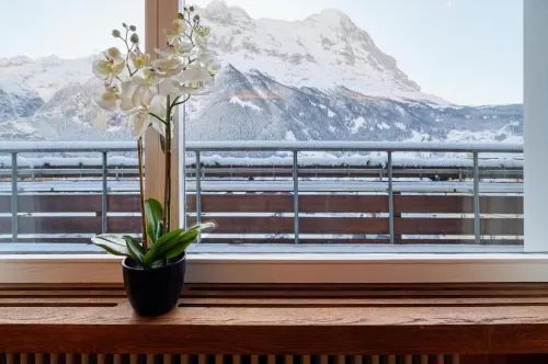 Hotel Bernerhof Grindelwald Near Hotel Photos