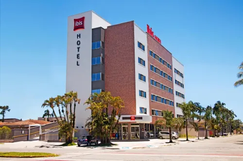 Ibis Paranagua À ne pas manquer Photos