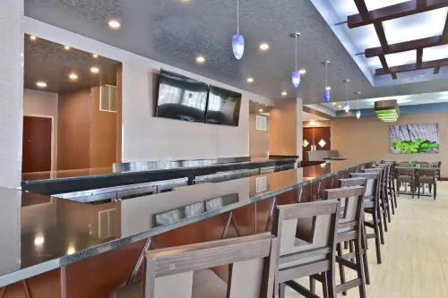 Wyndham Garden Elk Grove Village/O'Hare Leisure & Recreation Photos