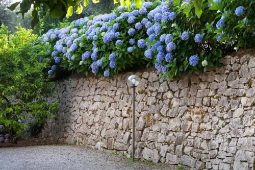 Villa Oriana Relais Extérieur Photos
