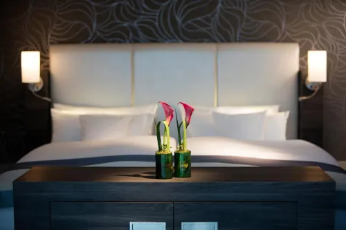 Vital Hotel Rhein Main Therme Wellness Resort & Spa Chambres Photos