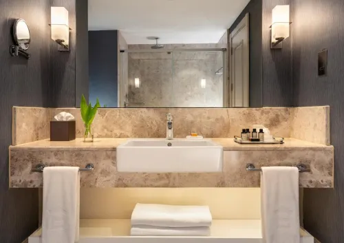 Elexus Hotel Resort & Spa & Casino Номера Photos