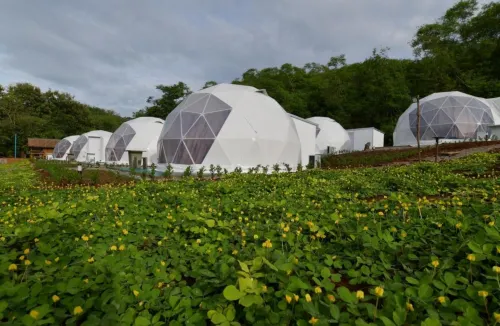 NiNo San Glamping - Pak Chong Extérieur Photos