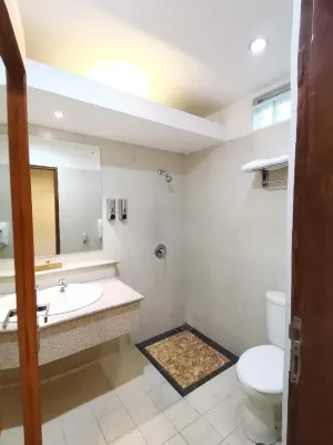 Catur Putra Hotel Magelang Kamar Photos