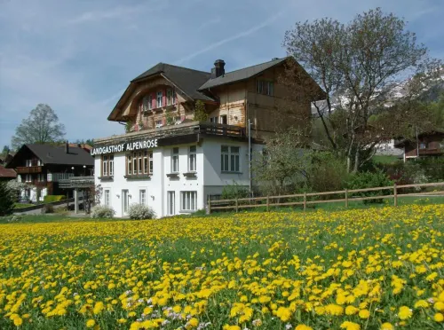 Hotel Alpenrose beim Ballenberg Außen Photos