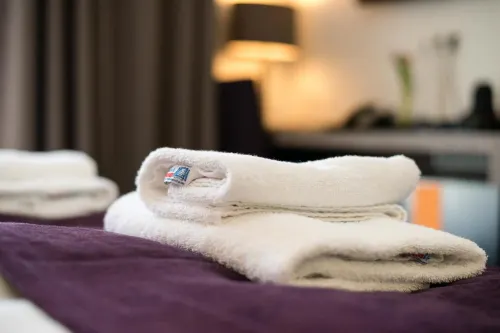 Goethe Business Hotel Frankfurt Zimmer Photos