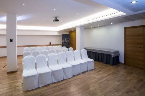 Hotel Serrano Business Facilities Photos