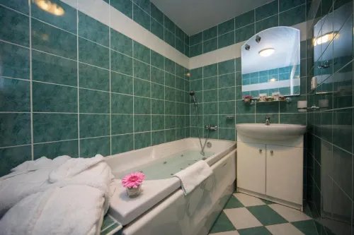Top Hotel Praha Photos