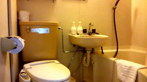 Hotel Hitachi Hills Chambres Photos