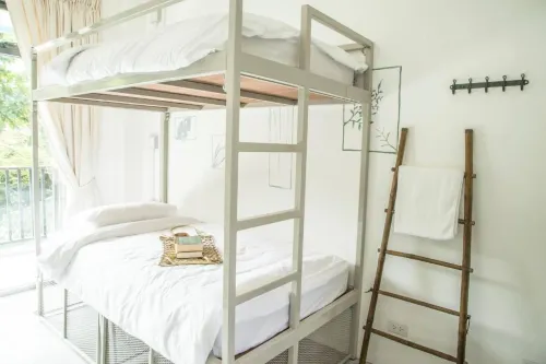 The Dearly Koh Tao Hostel-Padi 5 Star Dive Resort Photos