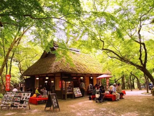 Guesthouse Nara Komachi Near Hotel Photos