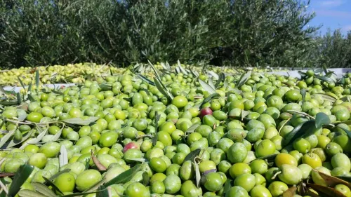 Agriturismo Vultaggio Рядом с отелем Photos