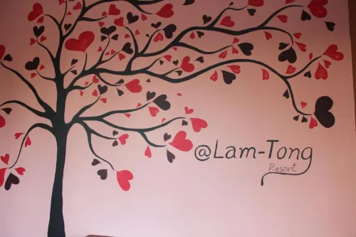 Lam-Tong Resort Photos