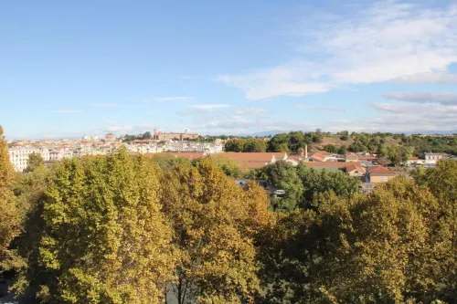 Lungotevere Suite Near Hotel Photos