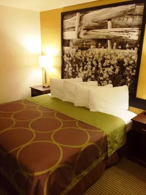 Super 8 by Wyndham Idaho Falls Rooms Photos