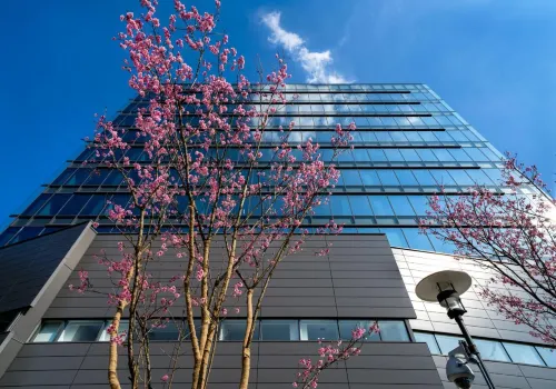 Daiwa Roynet Hotel Hiroshima-Ekimae Extérieur Photos