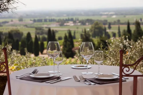 Hostellerie du Château des Fines Roches Dining Photos