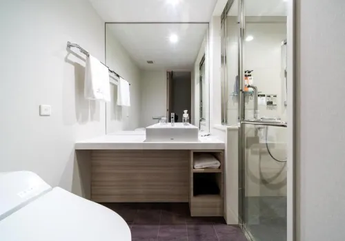 Daiwa Roynet Hotel Hiroshima-Ekimae Photos