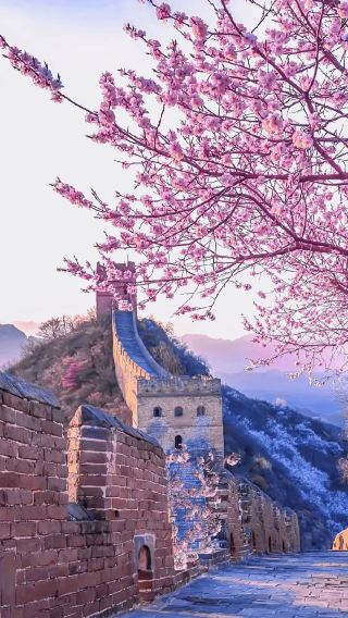 6D5N • Beijing + Tianjin + The Palace Museum + Badaling Great Wall + Temple of Heaven + Summer Palace + Lao She Tea House