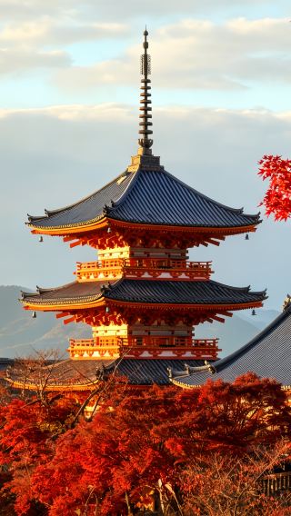 5D4N • Japan + Osaka + Kyoto Chase Fiery Koyo, Friendly Deer & Universal Fall Fun
