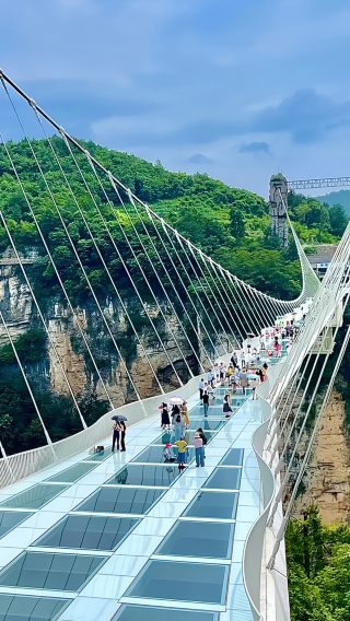 4박5일 • 장가계 명소 풀 커버 + 봉황 고성 + 삼림공원 + 천문산 + 대협곡 유리다리 + 천문호선쇼 + 데이터 유심 증정+ NO쇼핑NO팁