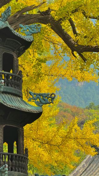 8日7晚 • 官方嚴選·全線山東丨濟南＋泰山風景區＋曲阜＋青島＋煙台＋威海