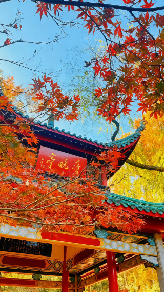 5天4晚 • 三湘人文深度之旅｜1 對 1 文史導遊帶隊 雙偉人故里＋嶽麓書院＋橘子洲＋湖南博物院 探秘漢代絕世文物 尊享體驗：贈送茶顏悅色