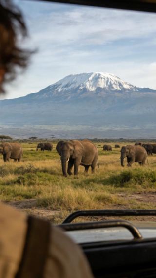 3D2N • Kenya + Nairobi + Amboseli National Park + Mount Kilimanjaro