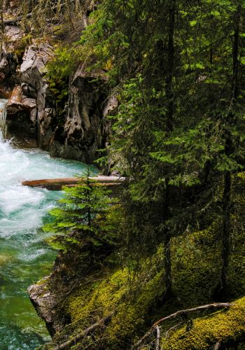 4D3N • Canada + Banff National Park + Jasper National Park