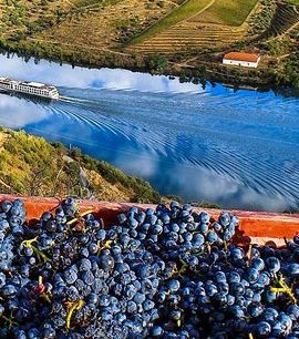 5D4N • 5 Days Private Tour In Portugal from Lisbon
