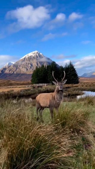 3D2N • United Kingdom + Scottish Highlands + Isle of Skye