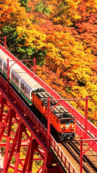 6D5N • Japan central autumn foliage discovery: Tateyama Kurobe Alpine Route, Kurobe Gorge Railway, Shirakawa-go Village, Takayama Old Town, and Nagoya