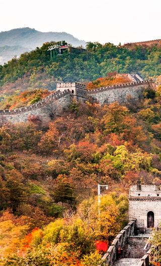 5D4N • Golden autumn for Trip.com international travelers: 4 nights in 4-diamond hotels: The Palace Museum + Mutianyu Great Wall + Summer Palace + Temple of Heaven