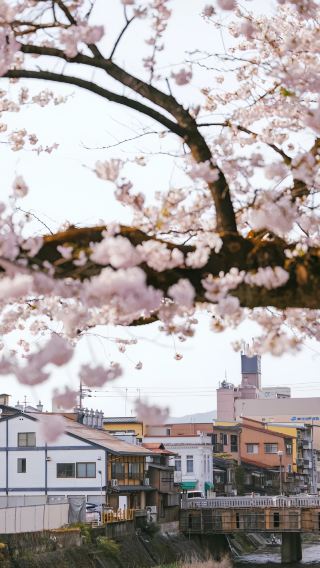 6D5N • Japan Nagoya + Kanazawa + Shirakawa-go + Hida      