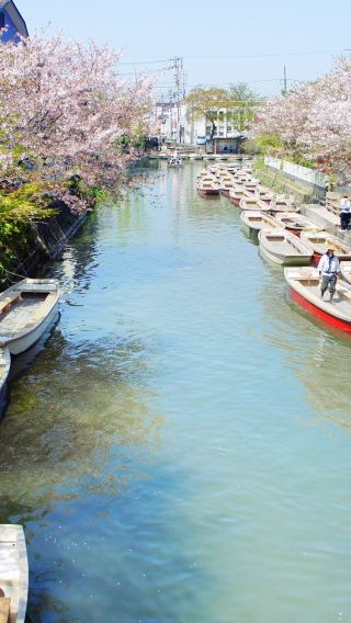 9D8N • Explore Amazing Kyushu Japan Adventure:Enjoy a relaxing sightseeing boat excursion on the canal+Takachiho Gorge