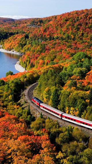 6D5N • Toronto + Sault Ste. Marie + Algoma, Unorganized, North Part + Gravenhurst + Niagara Falls