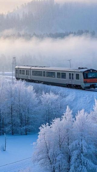 2D1N • Mohe, Arctic Village, Longjiang, Aurora sightseeing, reindeer contact, no shopping, warm