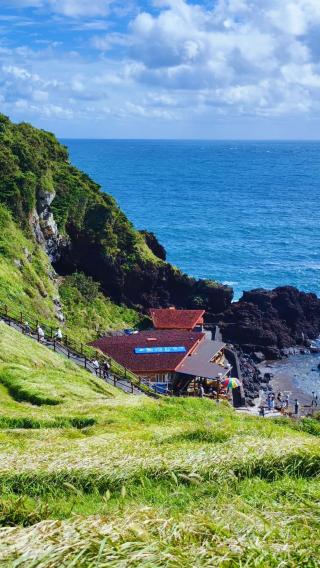 6D5N • A great travel destination: Jeju Island, South Korea