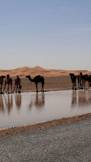 7D6N • 7 days in Morocco Starting in Casablanca