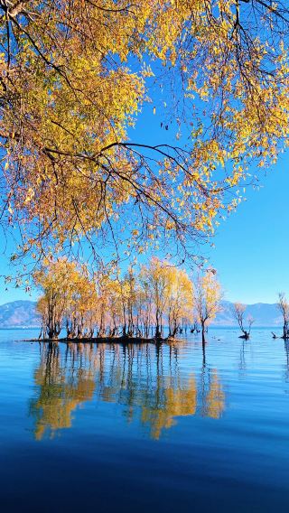 6D5N • Muslim-friendly: Kunming + Dali + Lijiang – Weishan Mosque Complex + Mosques in Dali & Lijiang Ancient Towns + Shuncheng Mosque + Halal Food Street + Yulong Snow Mountain + tie-dye handicraft