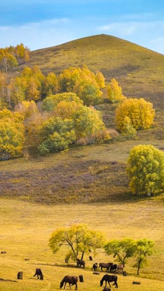 5D4N • Chengde + Wulan Butong Grassland Scenic Area + Mulan Shooting Ground