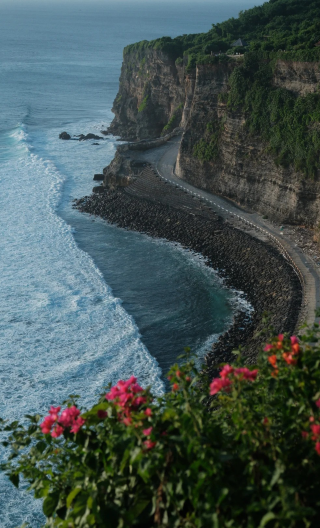 2D1N • Customize your trip: Indonesia: Bali + Nusa Penida + Ubud + Lovina Beach: Lovina dolphin watching, tegallalang rice terrace