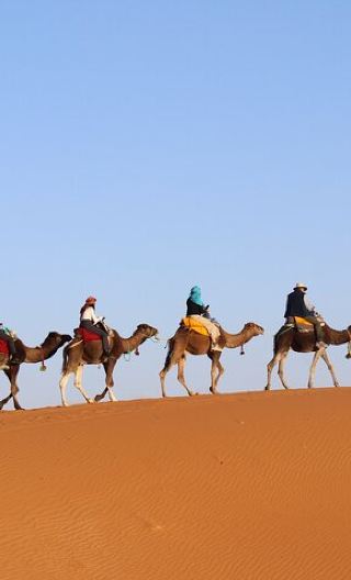 10D9N • Morocco Tours 10 Days from Casablanca : Imperial Cities & Sahara Desert